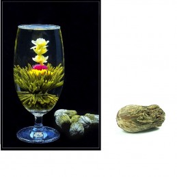 Kvetoucí čaj - Květinový čaj, Mo Li Xian Zi, jasmínový květ, chryzantéma, laskavec