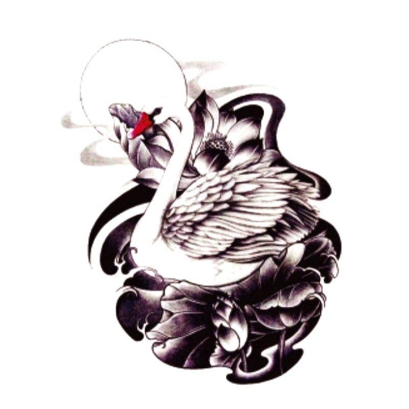 Ideiglenes felragasztható tetoválás a lapockára, vádlira, hattyú motívum