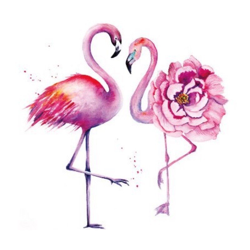 Jednorazové farebné nalepovacie tetovanie párikov plameniakov, plameniaky, flamingos