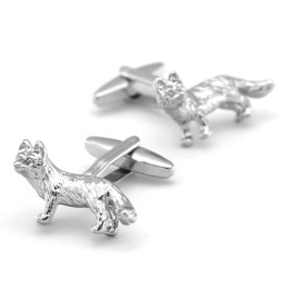 Mandzsetta gombok mosómedve, raccoon