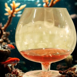 Obrie whiskey, koňakový pohár, mini akvárko na nožičke 12L