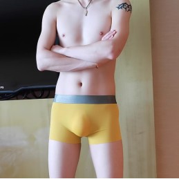 Pánské bezešvé boxerky Ice Silk, anatomické, s širokou gumou v pase