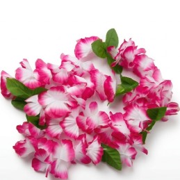 Hawaii veniec ružový